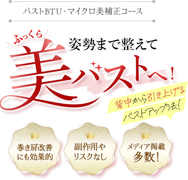 憧れのふっくら美胸を叶えるなら美容バストケア・バストアップエステ PMK（ピーエムケー）へ